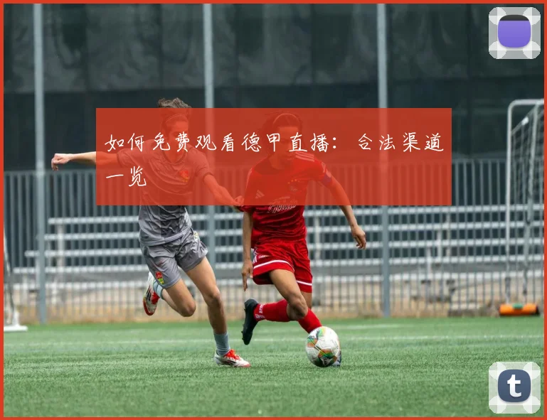 如何免费观看德甲直播：合法渠道一览